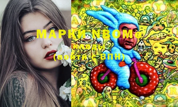 прущие грибы Гусь-Хрустальный