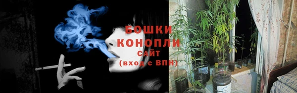 стаф Мегион