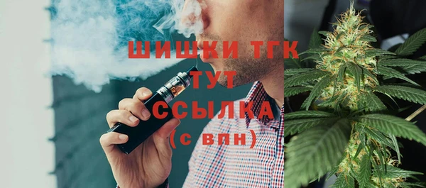 прущие грибы Гусь-Хрустальный