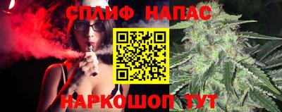 спиды Гагарин