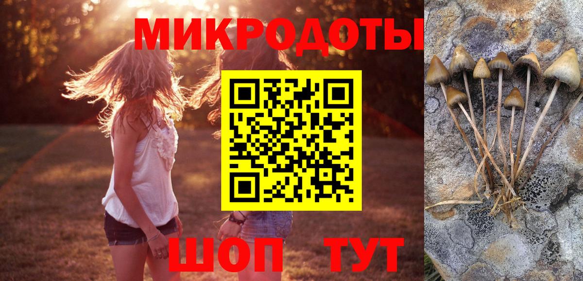 Галлюциногенные грибы Psilocybine cubensis Ипатово