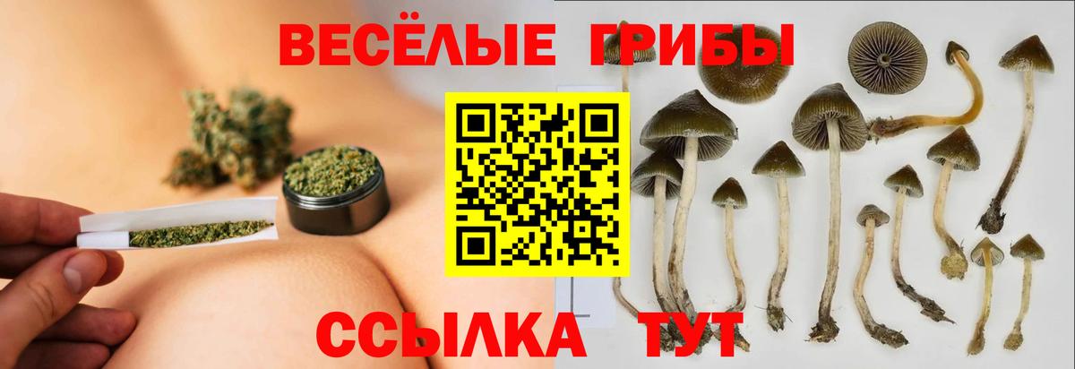 Ипатово  Галлюциногенные грибы мухоморы  Вход с VPN 